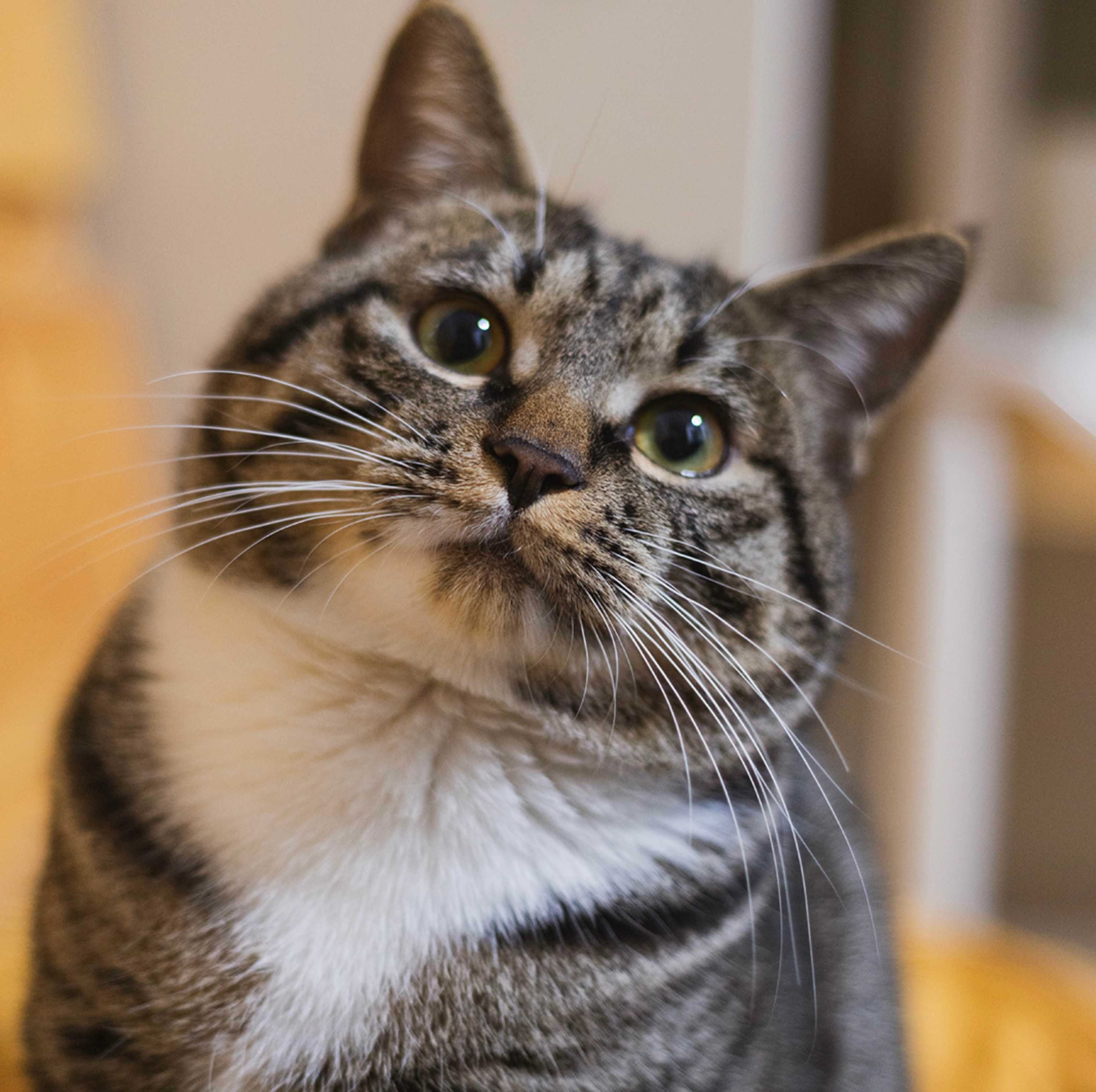 Raio-X Landing Hero Top Image